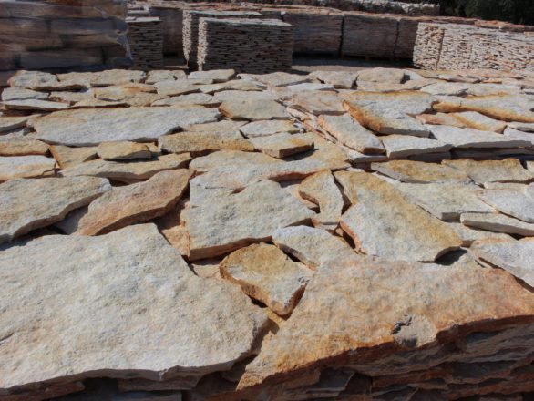 SCORZA DI TRANI GIALLA - immagine 5