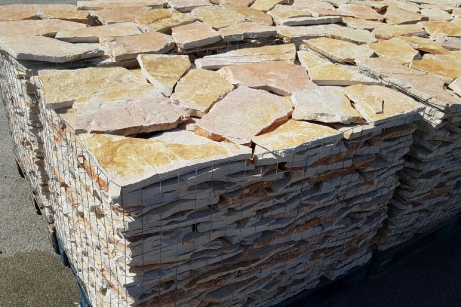 SCORZA DI TRANI GIALLA - immagine 3